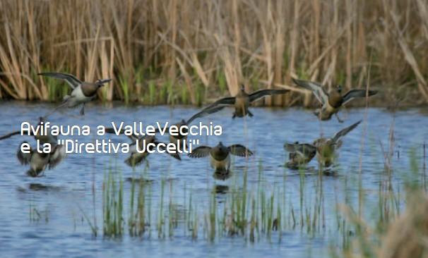 Codice attività: VV33 OBIETTIVI La Direttiva Uccelli, concernente la conservazione degli uccelli selvatici, è il primo atto normativo dell Unione Europea volto alla conservazione della natura che,