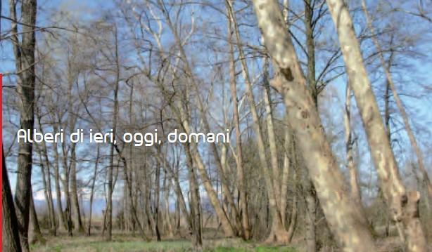 Codice attività: MP20 OBIETTIVI Uscita di una giornata durante la quale, attraverso la visita a tre luoghi particolari e ad attività mirate, si propone di far comprendere l importanza e le funzioni