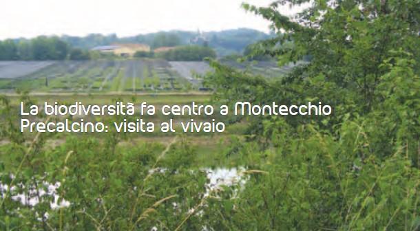 Codice attività: MP21 OBIETTIVI Conoscere cos è la biodiversità, i suoi effetti e l importanza della sua conservazione.