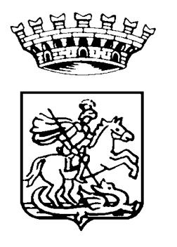 Regione Autonoma Friuli Venezia Giulia Comune di San Giorgio di Nogaro COMMITTENTE: COMUNE DI SAN GIORGIO DI NOGARO Piazza del Municipio n.