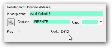 nell'area di destra vengono riportate i problemi attivi presenti nella cartella del paziente ed il cursore si posiziona direttamente sulla prima riga della lista dei codici ICD9 del paziente.