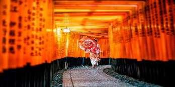Visita del Fushimi Inari Taisha e rientro a Kyoto nel tardo pomeriggio.