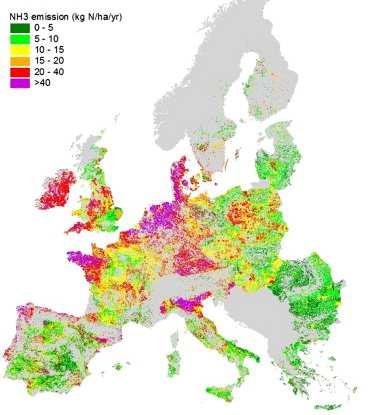 Total NH 3 emissions from agriculture in the year 2000 in EU-27 Source: (de Vries,