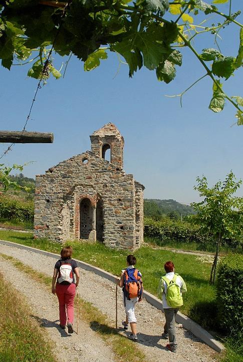 Pelati e Torre Cives, Parco Fluviale del Po, Bosco del Vaj Cammini e itinerari