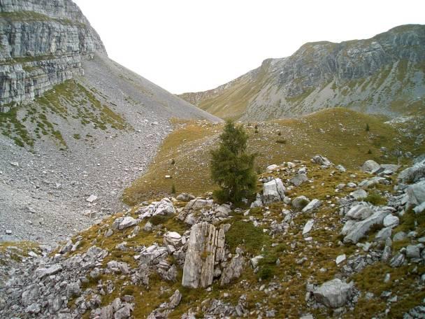 Valori Idrogeologia: Una vasta parte dell area indagata costituisce l area di approvvigionamento di