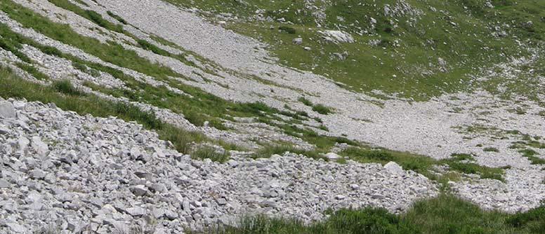 area con una elevata valenza