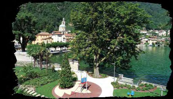 I l luogo La natura è la nostra musa ispiratrice La natura nel cuore Il cigno reale, Cygnus olor Lugano Il complesso