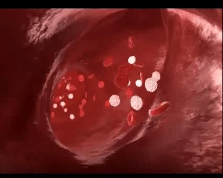 Il sangue circola all interno di vasi lunghezza complessiva dei vasi più di 80.000 km (tempo di circolazione alcuni minuti; velocità di flusso: aorta 25cm/sec; capillari: 0.