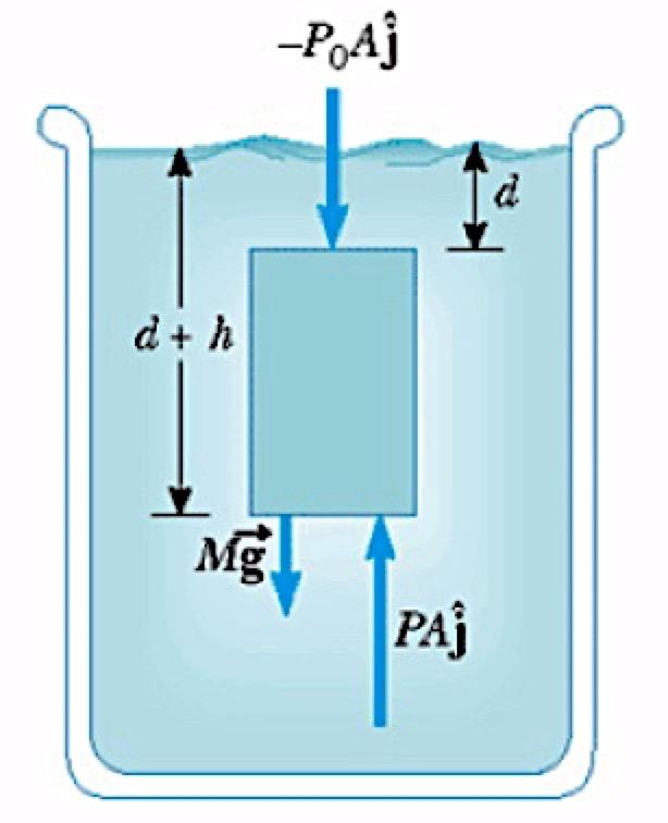 Fluidostatica (equilibrio dei fluidi)-stevino() Come varia la pressione all interno di un fluido a riposo?