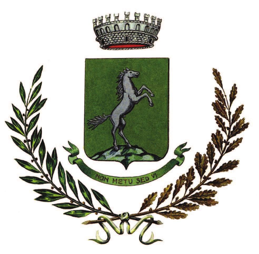 REGIONE PIEMONTE PROVINCIA DI BIELLA COMUNE DI CAVAGLIA' Via M. Mainelli, 8-13881 CAVAGLIA' Cf. 00326680022 - tel.