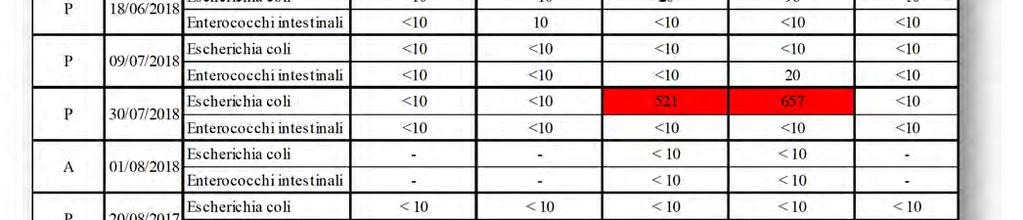 Il divieto temporaneo della balneazione è stato disposto dal Comune di Cervia in data 01/08/2018 e revocato successivamente in data 03/08/2018 per entrambe le acque di balneazione.