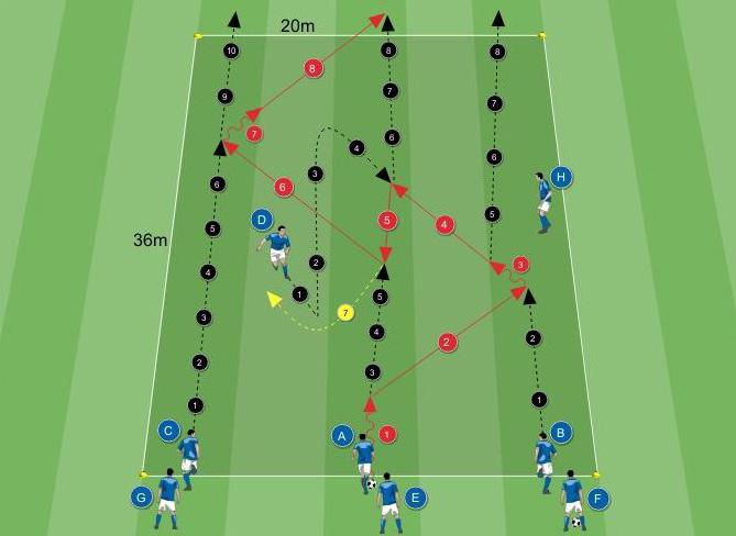 Gli 8 componenti di ogni gruppo vengono divisi in due gruppi che svolgono l attività in momenti distinti. Ogni gruppo è in possesso di un pallone.