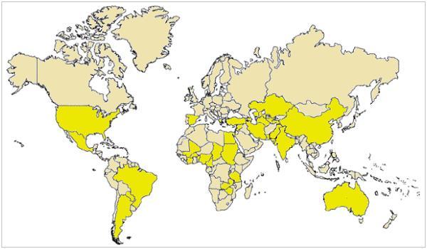 Paesi produttori cotone La cartina indica i principali paesi produttori di cotone, di cui quasi 1/4 e' fornito dalla Repubblica Popolare Cinese, seguita da Stati Uniti e