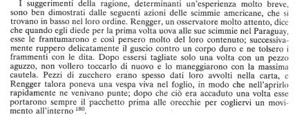 Ancor oggi, numerosi studiosi ritengono che gli animali vivano in un eterno presente, senza alcuna