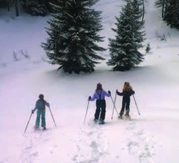 Arrampicata su cascate di ghiaccio e dry-tooling SCI ACCOMPAGNATO IN PISTA: Uscite giornaliere o di più giorni, singole o di gruppo, durante tutto il periodo invernale.