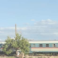 Il treno delle dolcezze pasquali e prodotti degli Iblei con tappe di sosta a Cassibile, Noto antica, Avola vecchia e Avola 9 giugno parte da Trapani Il treno delle verdure selvatiche, dei formaggi e