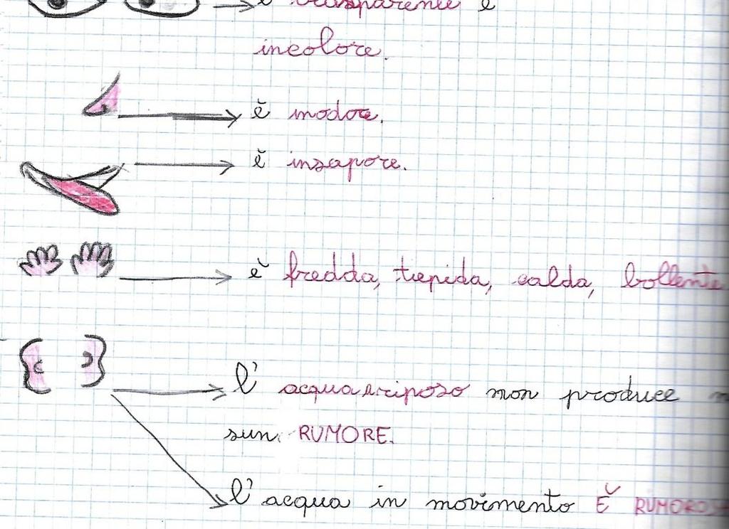 Perché possiamo dire che l acqua è una grande amica delle persone, degli animali e delle piante?