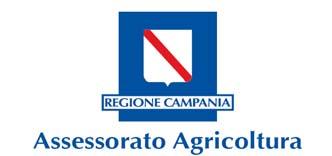 DIREZIONE GENERALE PER LE POLITICHE AGRICOLE, ALIMENTARI E FORESTALI UOD Fitosanitario regionale UOD Servizio Territoriale Provinciale di SALERNO B O L L E T T I N O F I T O S A N I T A R I O AREALE