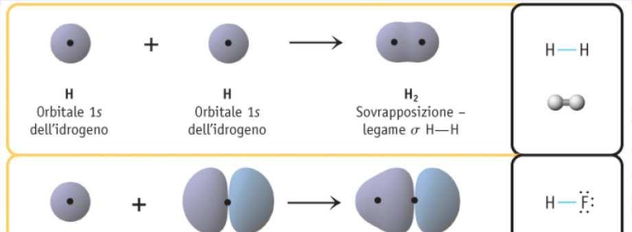 Legami singoli: idrogeno, acido
