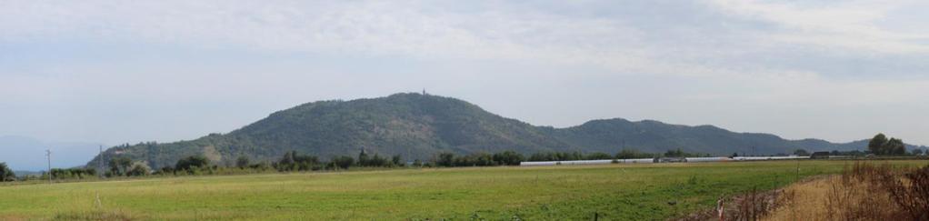 IL MONTE ORFANO Che cos è il Monte Orfano?