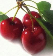Ribes, Anguria il colore rosso è indice della presenza rilevante di licopene e antocianine.