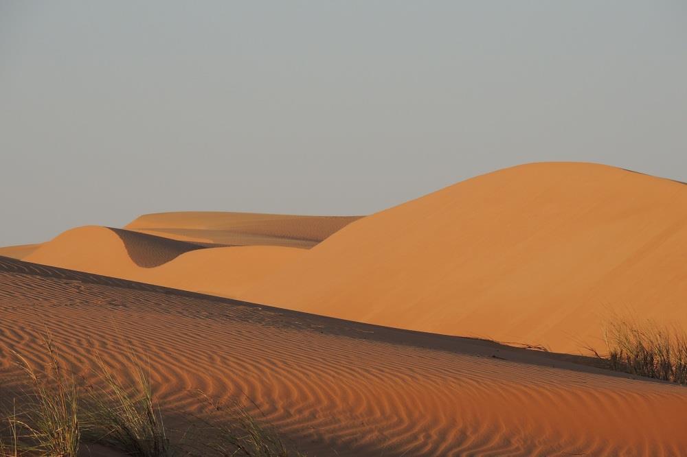 Martedì 3 Dicembre / Dal Deserto verso l Oceano Wadi Bani Khalid - Visita di Sur - Avvistamento tartarughe a Ras Al Jinz Visita dell'incantevole Wadi Bani Khalid, oltre il villaggio con le sue