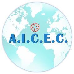 Accordo ICE CNDCEC- AICEC Sottoscritto il 30 maggio Durata biennale Obiettivo collaborazione strutturata tra le due entità al fine di generare competenze professionali, capacità di promozione e