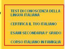 Istruzioni per l accesso all area riservata del progetto Certifica il tuo italiano 4^ edizione Dalla Home