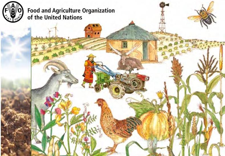 Agroecologia e agricoltura /