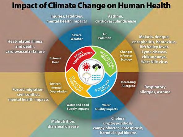 Cambiamenti climatici e medicina / sanità / prevenzione