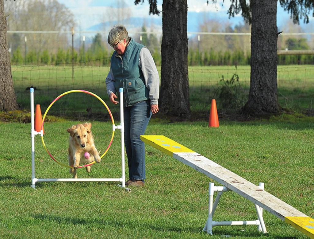 - Zona di sosta attrezzate con arredi da esterno, tavoli, panche per adulti e bambini, e raccolta differenziata di facile realizzazione in autocostruzione.