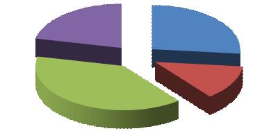 Pagina 8 di 42 I 4 tipi più frequenti di infezione, rilevati nell intero periodo 1-12, sono visualizzati nel grafico seguente con le relative frequenze (%).