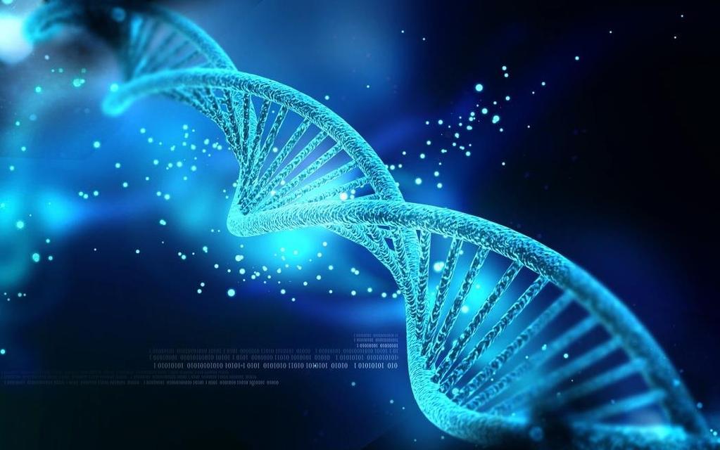 Da Darwin al DNA La teoria dell evoluzione di Darwin ha trovato nel DNA e nella sua scoperta una conferma.
