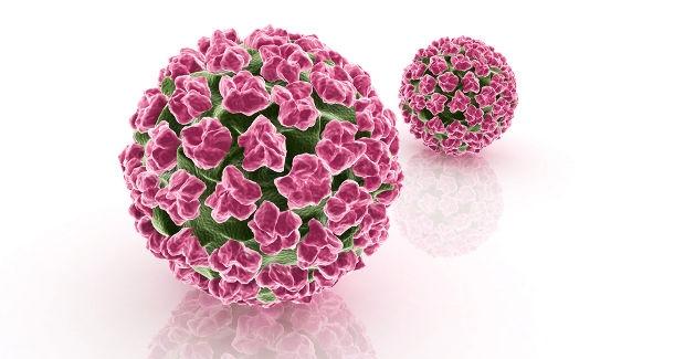 Unità che eroga il servizio: Ginecologia e Ostetricia Tipologia di servizio offerto: n 10 Test HPV fase liquida (indicazione: Il test HPV DNA sarà offerto alle donne dai 35 anni ai 64 anni.
