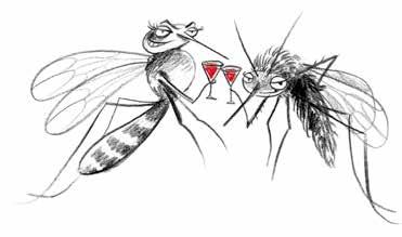 Quando e come pungono Il pappatacio e la zanzara comune sono particolarmente attivi da aprile a ottobre e nelle ore serali e notturne, mentre