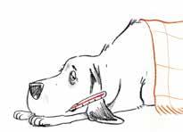 Come avviene la trasmissione delle malattie Quando pungono il cane per succhiare il suo sangue, quasi tutti i parassiti rilasciano saliva mista a una sostanza anestetizzante che impedisce alla preda