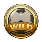 PROGETTAZIONE DEL GIOCO Wild sostitutivi I simboli Wild possono essere visualizzati in qualsiasi posizione sui rulli e sostituiscono tutti i simboli eccetto quelli Scatter e quelli Bonus.