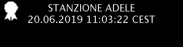 Il Responsabile di Posizione Organizzativa con delega di funzioni dirigenziali Visti: il decreto legislativo 18 agosto 2000, n.