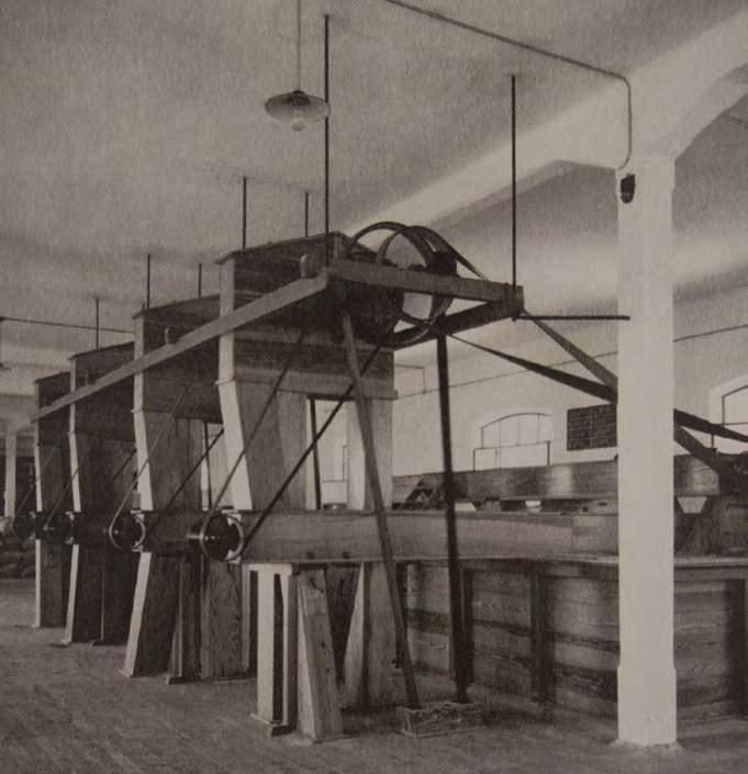 IL MOLINO DI trieste Il Molino di Trieste comincia a delinearsi negli anni 30 a partire da un silos in stile asburgico che evolverà poi man mano, frutto della combinazione di tratti architettonici
