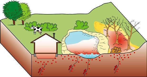 Fattori geologici che influenzano la pericolosità da radon Fratture e Faglie Fratture e Faglie Effetti nocivi delle emissioni di gas
