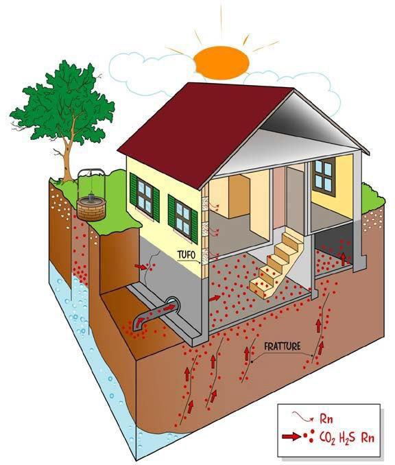 Sorgenti del radon indoor Radon: acqua < 1% IL LIVELLO DEL RADON NELLE ABITAZIONI QUINDI DIPENDE: 1)dalla concentrazione Per effetto dei flussi di radon suoli elanel d acquanei in bagno, sottosuolo
