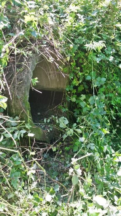 A monte, in zona parco Emilio, dove ha inizio tale condotto, è presente un pozzetto 150x120 cm con fondo condotto a -1,65m mentre a valle in prossimità del parcheggio a servizio del parco di Lambioi,