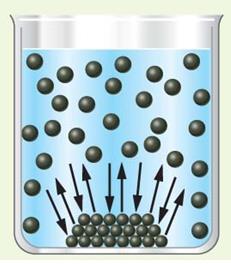 Abbassamento Punto di Congelamento Al punto di congelamento del solvente puro, la fase solida è in equilibrio dinamico con la fase liquida.