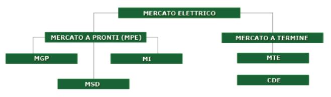 STRUTTURA DEL MERCATO ELETTRICO CAPITOLO 1 Figura 1.