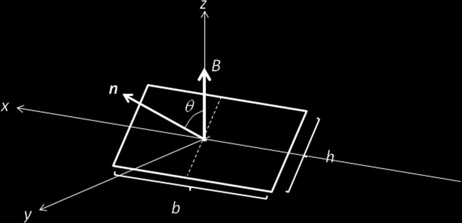 Il versore n rappresenta la normale alla superficie piana della bobina.