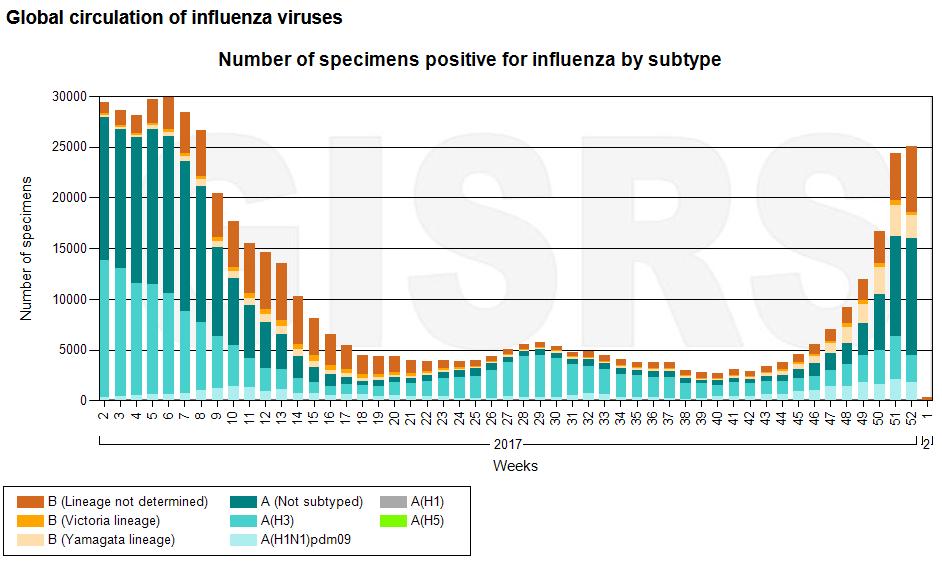 SITUAZIONE INTERNAZIONALE La circolazione dei virus influenzali continua ad aumentare nelle zone temperate dell emisfero Nord.