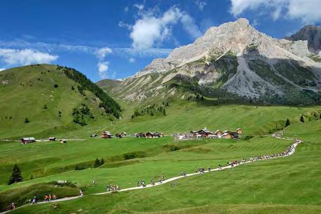 scopo fornire strumenti di supporto all esperienza diretta dello straordinario ambiente delle Dolomiti Patrimonio