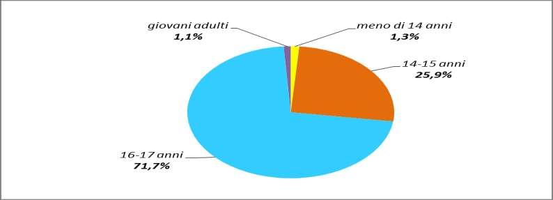 Grafico 28 - Ingressi nei Centri di prima accoglienza nell'anno 2017, secondo l'età. Valori per 100 ingressi nell anno.