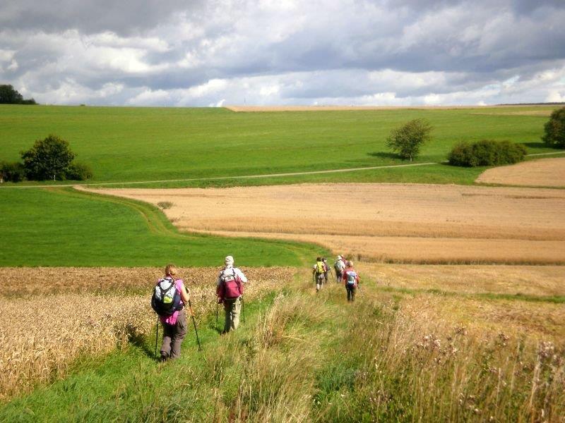 Land grabbing, così emiri e cinesi si comprano il futuro della Terra: la