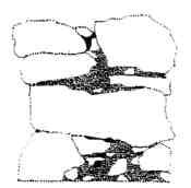 OSSERVAZIONI: appartiene al muro perimetrale rivolto a est e parzialmente crollato; il suo spessore è di circa 40 cm. Non sembra che le pietre, di media dimensione, siano state lavorate.